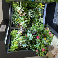 ＬＥＤ照明付き垂直水耕栽培施設