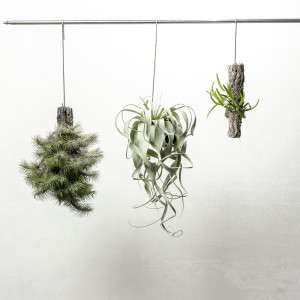 304　Air Baseの画像