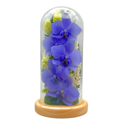 BLUE GENE（ドライフラワー）