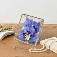 BLUE GENE（ドライフラワー）