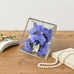 BLUE GENE（ドライフラワー）