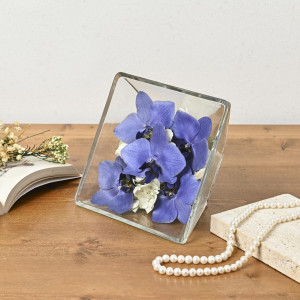 BLUE GENE（ドライフラワー）の画像