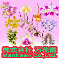 株式会社万花園