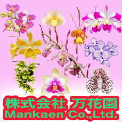 株式会社万花園