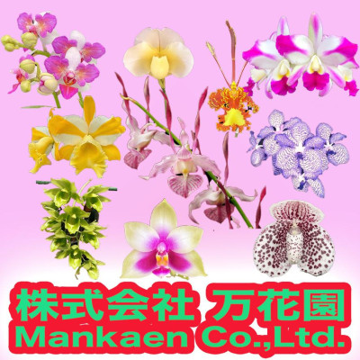 株式会社万花園