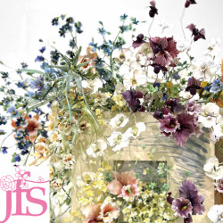 株式会社ニップン